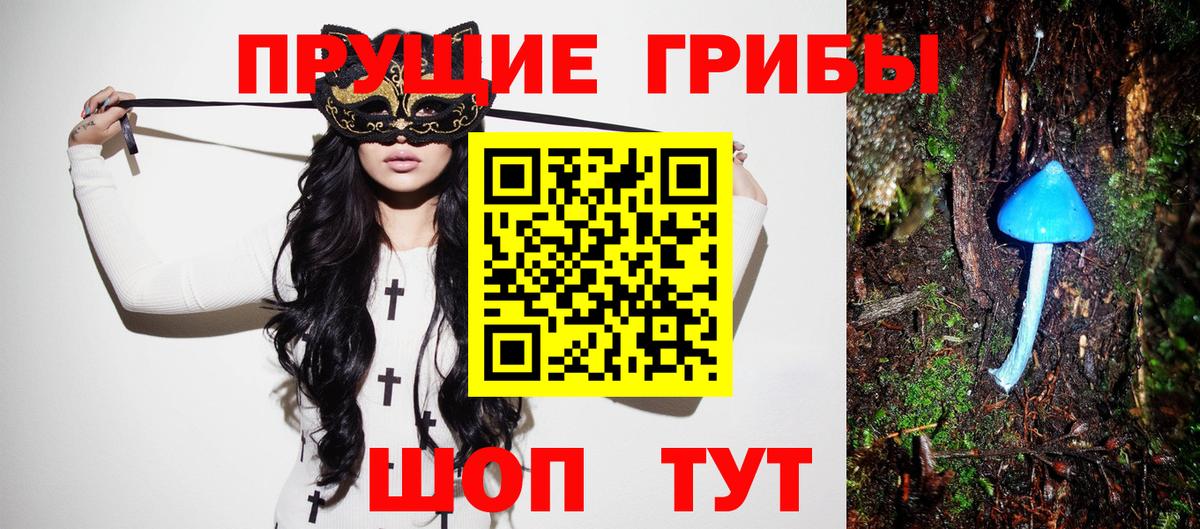 Галлюциногенные грибы MAGIC MUSHROOMS  Вход с VPN  наркошоп  Луга 