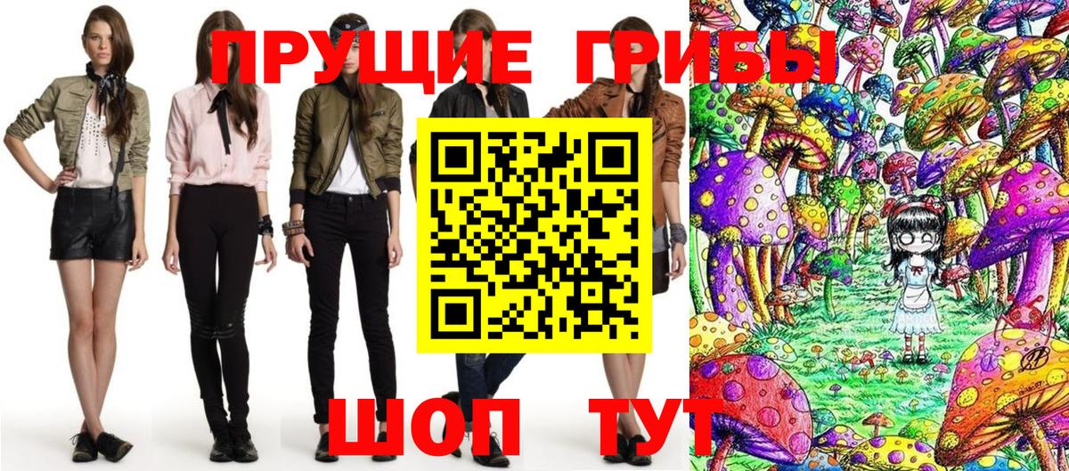 Псилоцибиновые грибы Psilocybine cubensis Луга